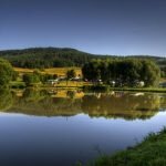 Vismeer